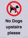 no-dogs-upstairs-please-~